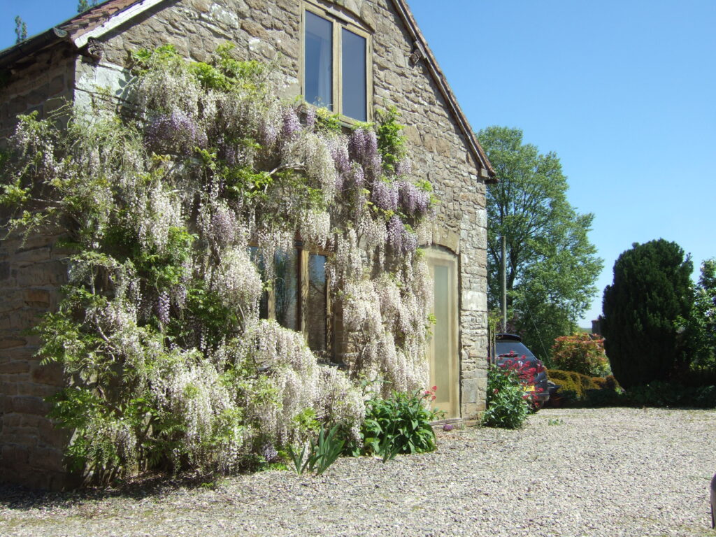 Carysbyre Bed and Breakfast