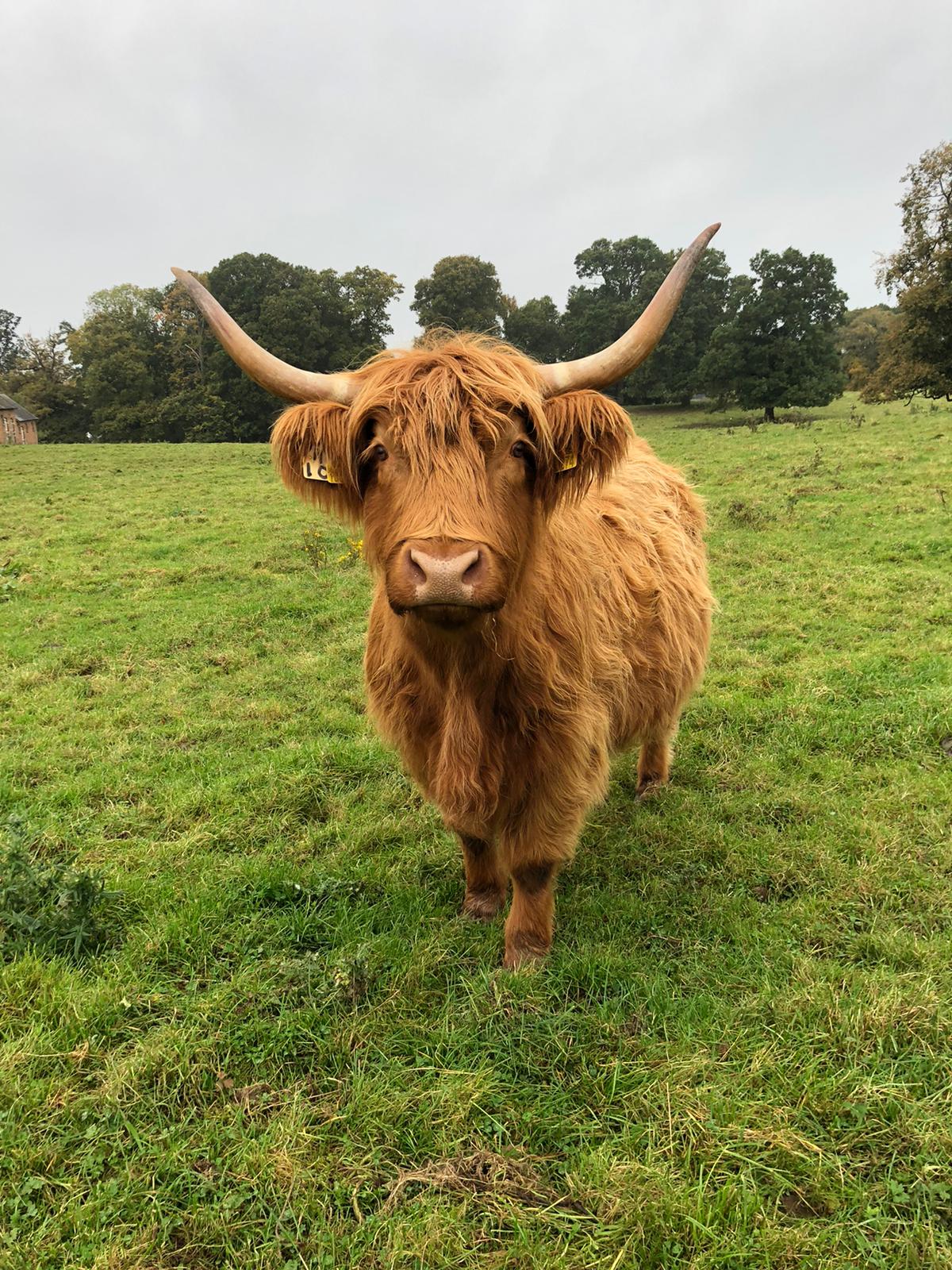 Open Farm Sunday at Ellesmere Estate - Visit Shropshire