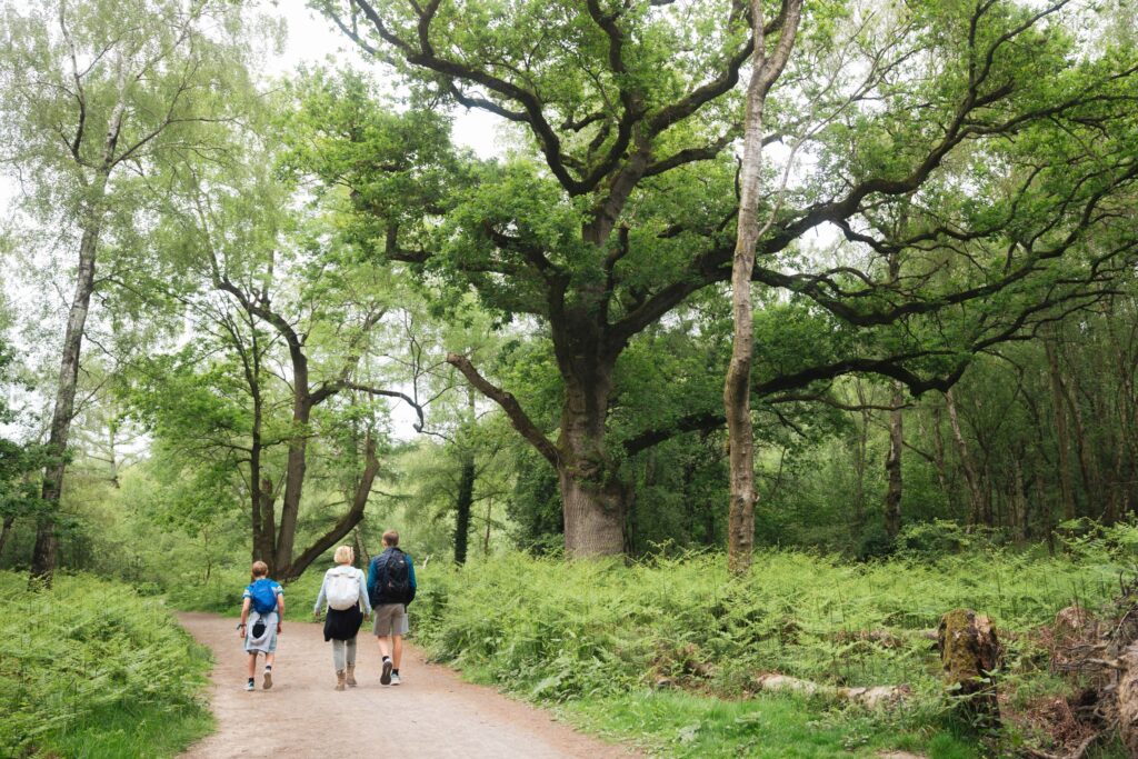 Haughmond Hill - Forestry England