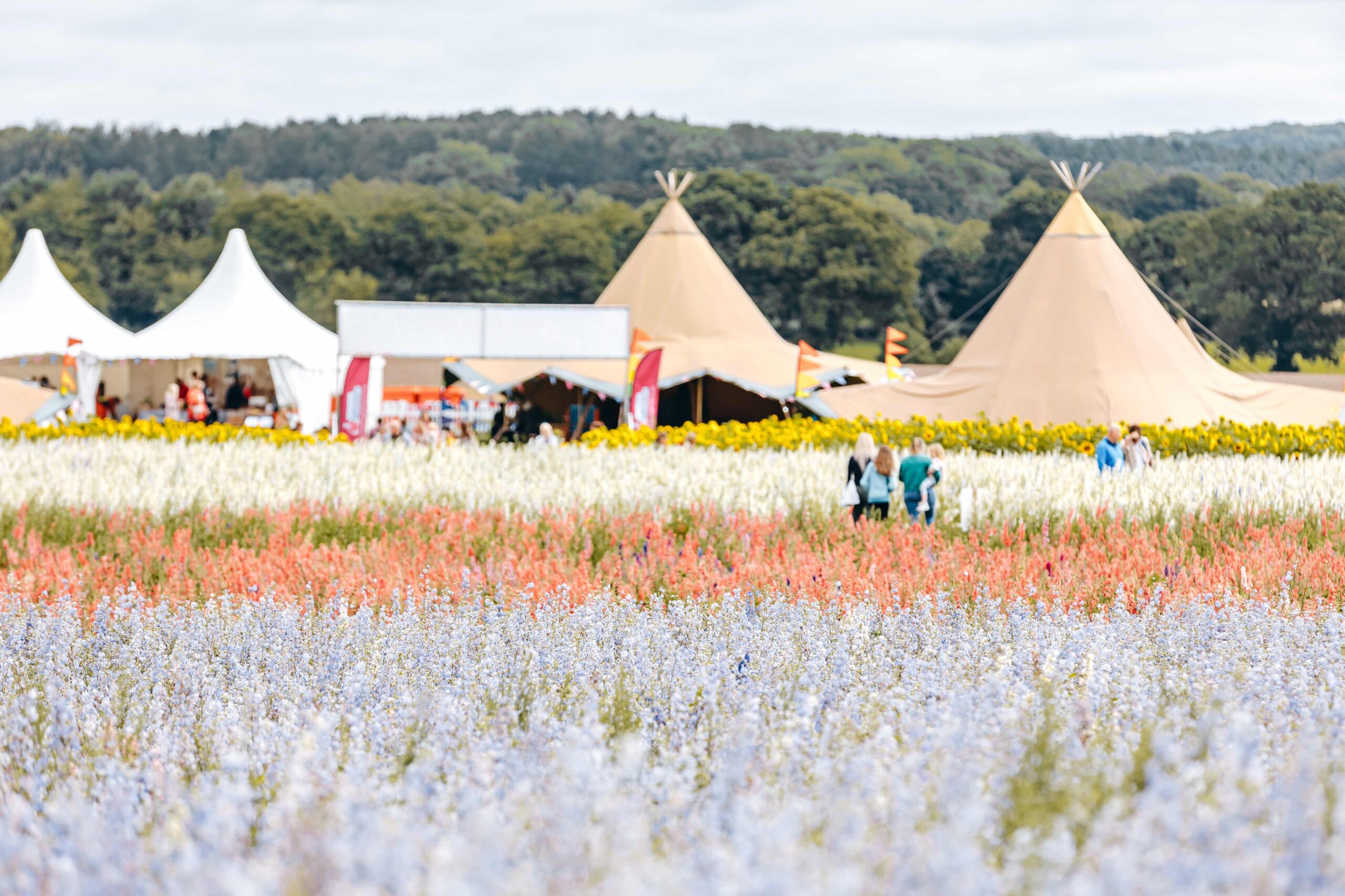 Tickets are Selling Fast for Shropshire Petal Fields