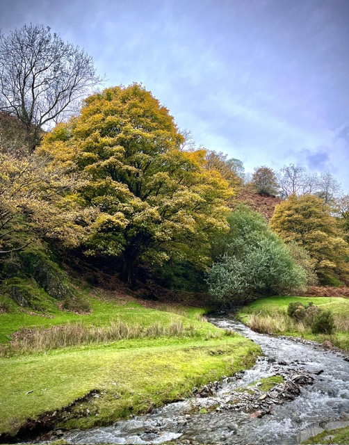 Autumn In Shropshire