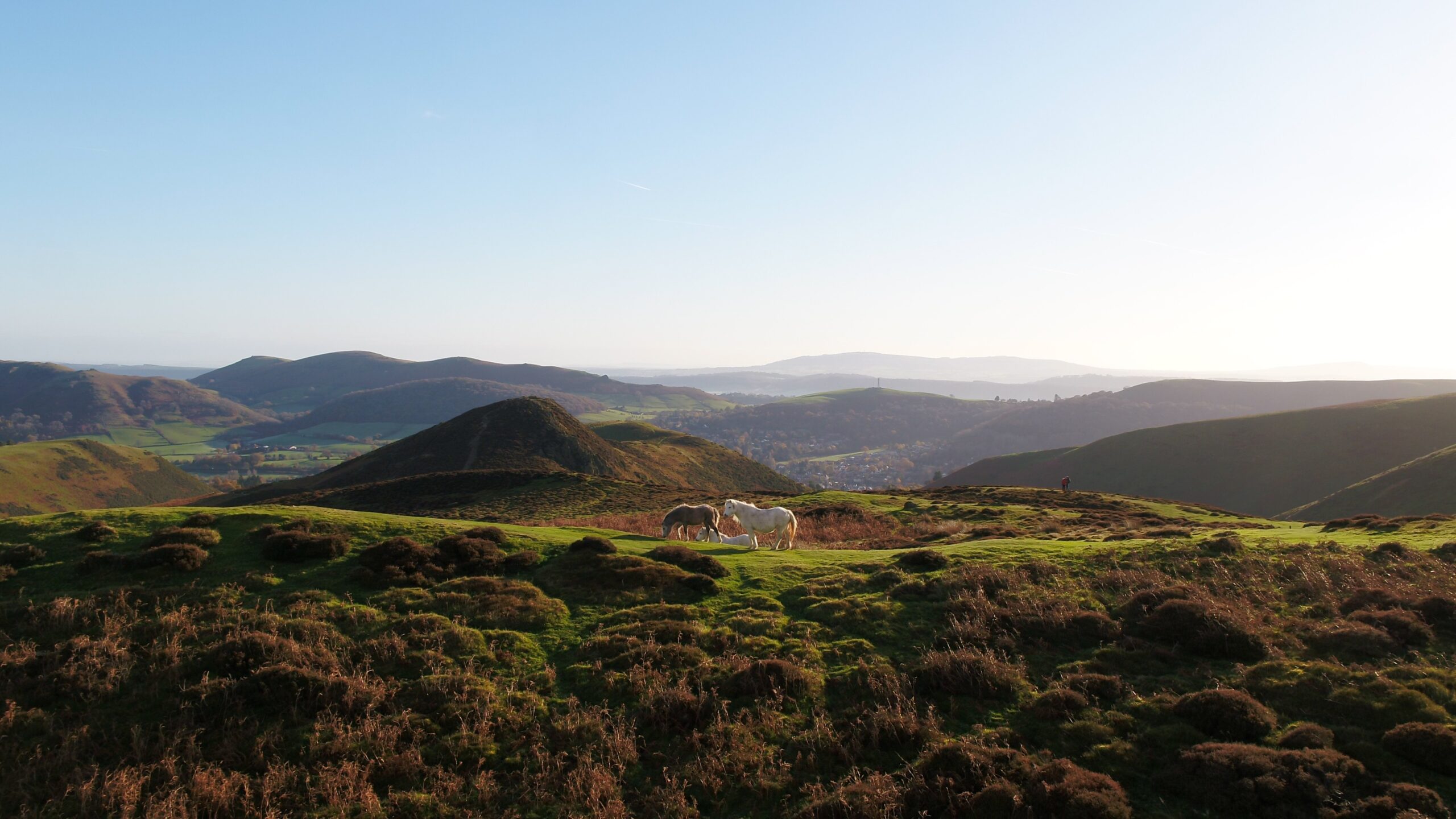 Blow Off the Cobwebs in Shropshire This Winter