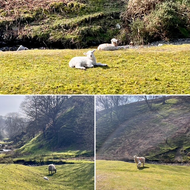April Escapes in the Shropshire Hills: Walks from the Door at Mynd House Bed & Breakfast