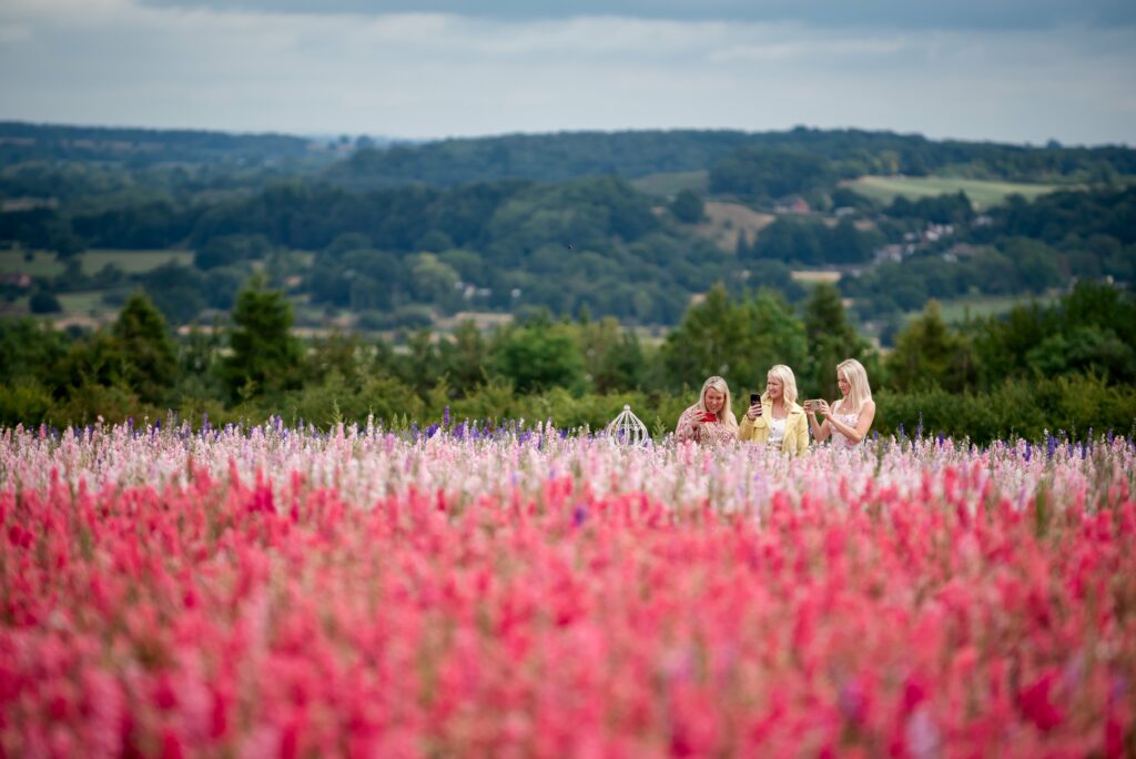 Tickets Launched for Shropshire’s Biggest Flower Event