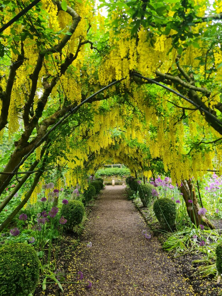 Make the Most of the Summer Holidays in and Around Market Drayton